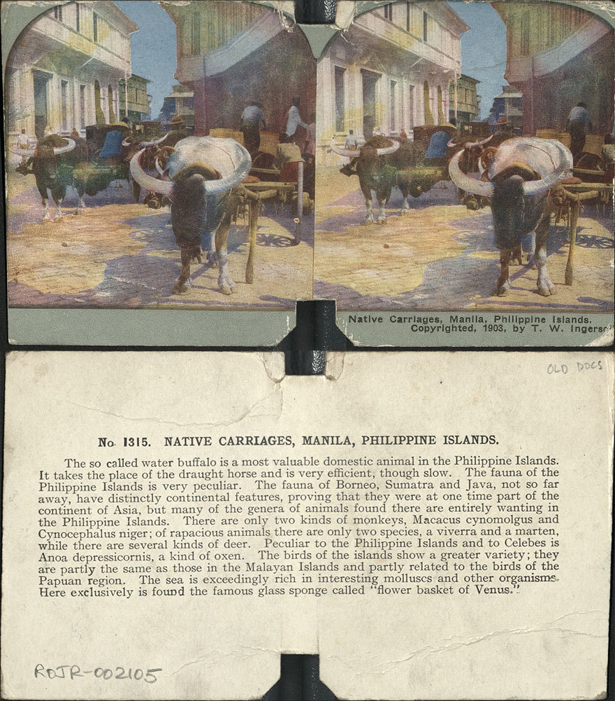 Native Carriages, Manila, Philippine Islands.